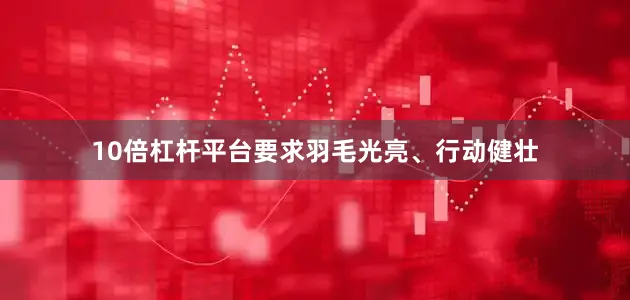 10倍杠杆平台要求羽毛光亮、行动健壮